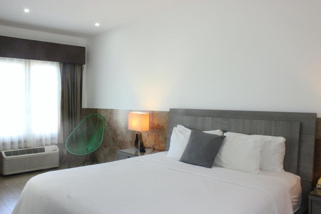 Beverly Hills: Hotel And Business Nuevo Cuscatlan Екстериор снимка